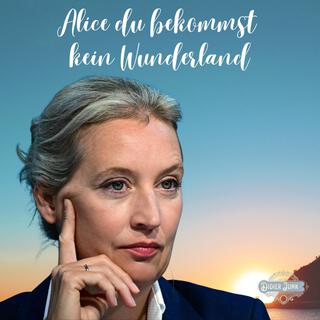 Alice du bekommst kein Wunderland lyrics | Boomplay Music