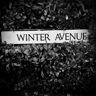 Winter Avenue lyrics | Boomplay Music