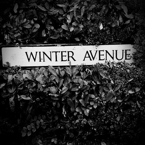 Winter Avenue | Boomplay Music