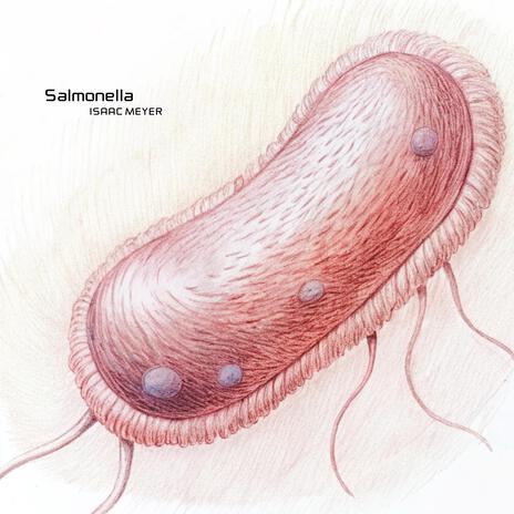 Salmonella | Boomplay Music