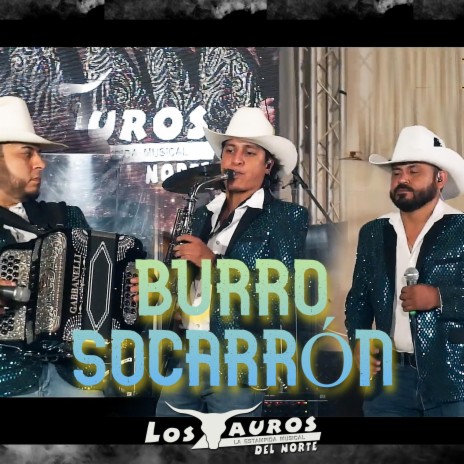 Burro Socarrón | Boomplay Music