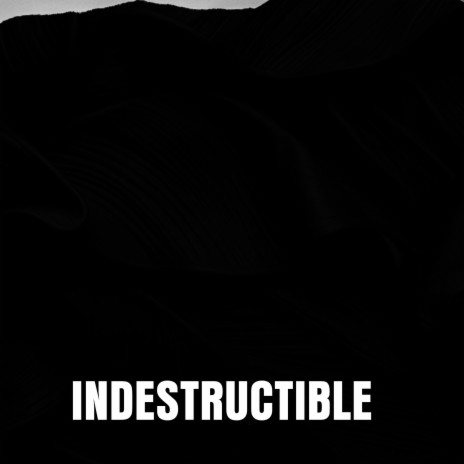 Indestructible ft. Giani Surinder Singh Ji Samrat | Boomplay Music