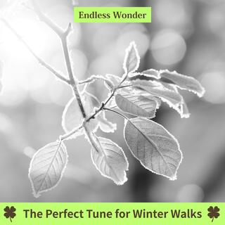 The Perfect Tune for Winter Walks