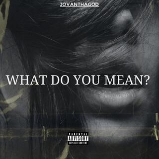 What Do You Mean?