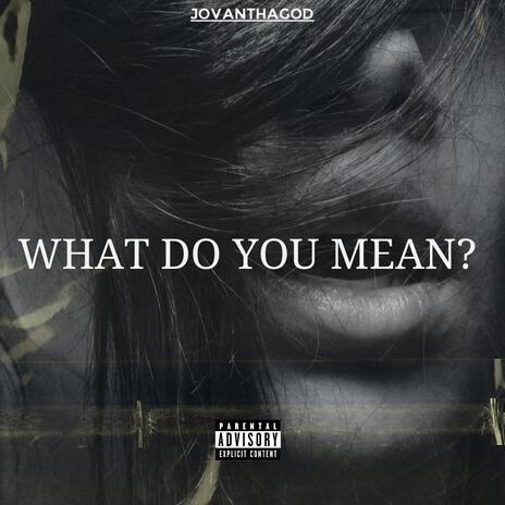 What Do You Mean? | Boomplay Music