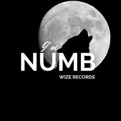 I'm Numb | Boomplay Music