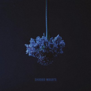 Shaded Waters lyrics | Boomplay Music