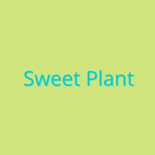 Sweet Plant