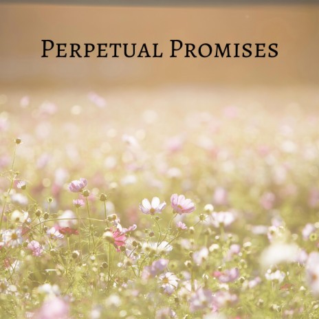 Perpetual Promises | Boomplay Music
