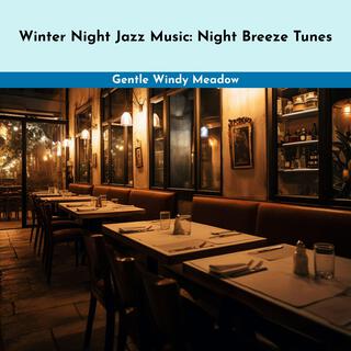 Winter Night Jazz Music: Night Breeze Tunes