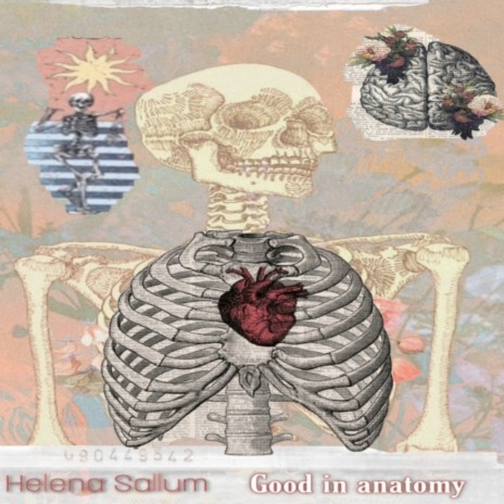 Good in Anatomy | Boomplay Music