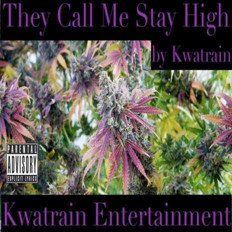 They Call Me Stay High | Boomplay Music