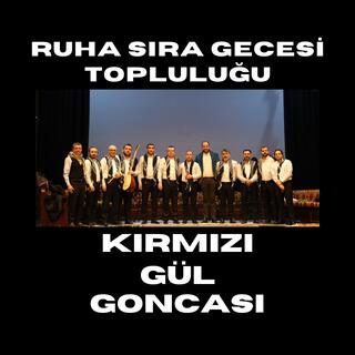 Kırmızı Gül Goncası