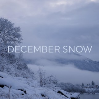 December Snow