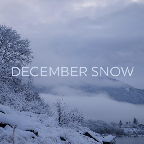 December Snow | Boomplay Music