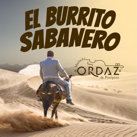 El burrito Sabanero | Boomplay Music