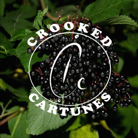 Elderberry