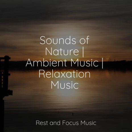 Sounds of Endearment | Boomplay Music