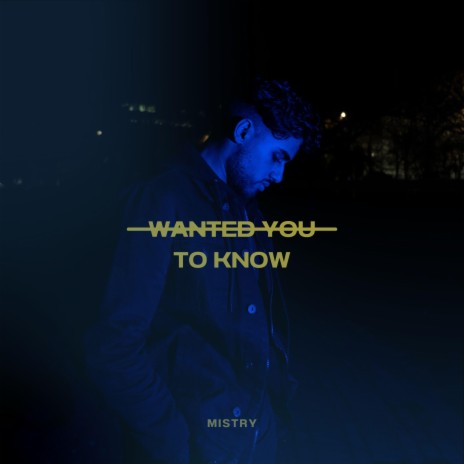 Wanted You To Know | Boomplay Music