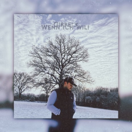 Wenn ich will | Boomplay Music