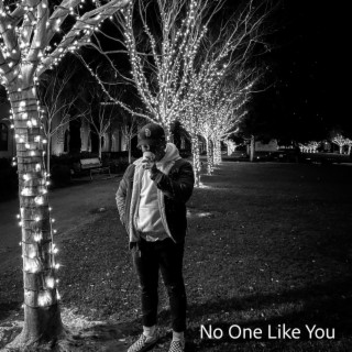 No One Like You