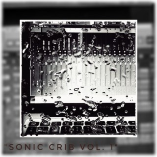 Sonic Crib, Vol. 1