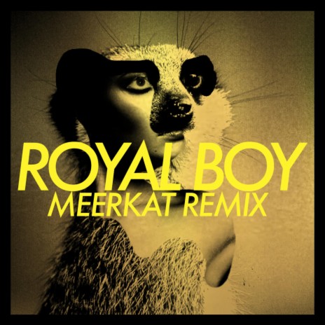 Royal Boy ft. Ankathie Koi