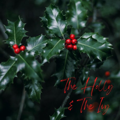 The Holly & The Ivy | Boomplay Music