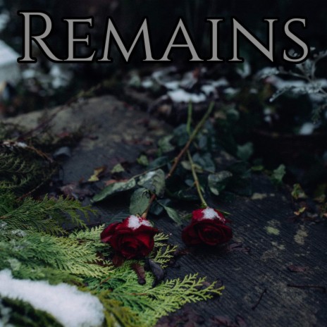 Remains ft. Annarchy | Boomplay Music