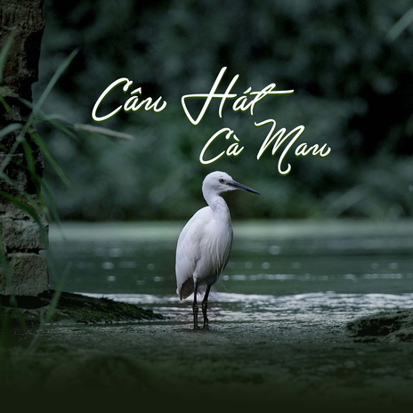 Câu Hát Cà Mau | Boomplay Music