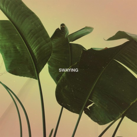 Swaying | Boomplay Music