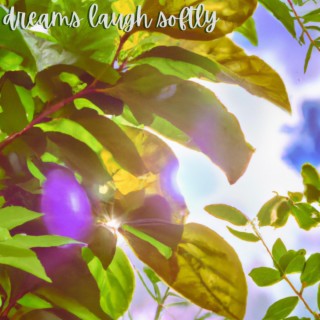 Dreams Laugh Softly lyrics | Boomplay Music