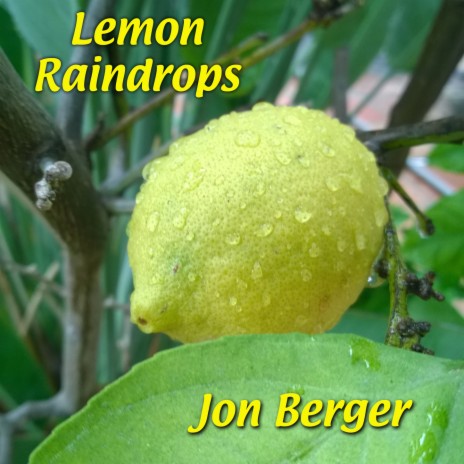 Lemon Raindrops | Boomplay Music