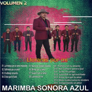 Marimba Sonora Azul