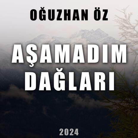 Aşamadım Dağları | Boomplay Music