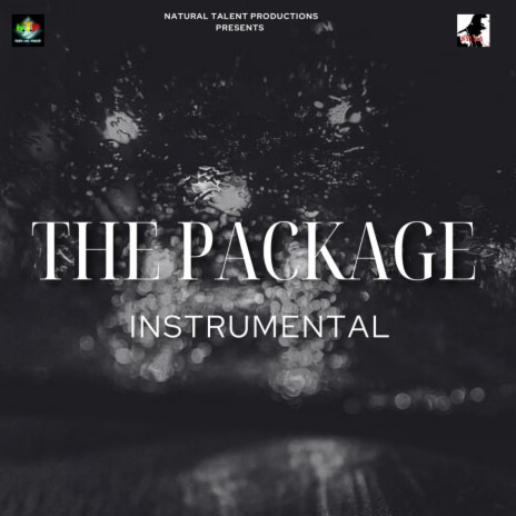 THE PACKAGE | Boomplay Music