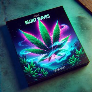 Blunt Waves