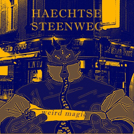 Haechtse Steenweg | Boomplay Music