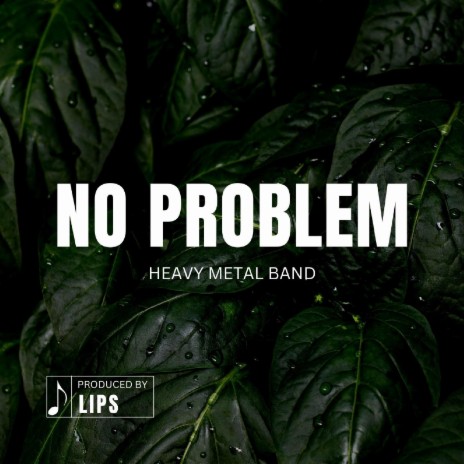 No Problem | Boomplay Music