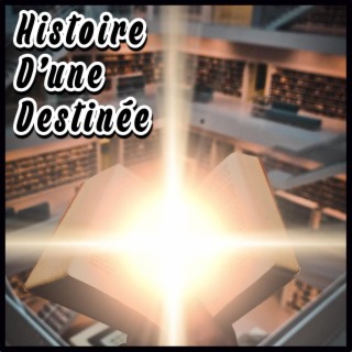 Histoire D'une Destinée