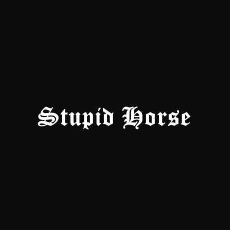 Stupid Horse | Boomplay Music