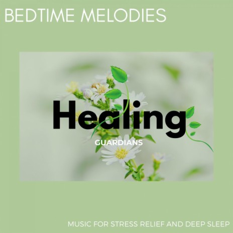 Heal the Illness | Boomplay Music