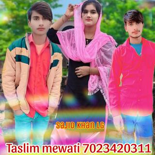 Taslim mewati 311