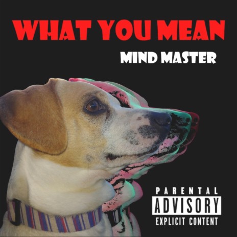 What You Mean | Boomplay Music