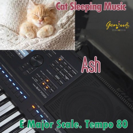 Cat Sleeping Music