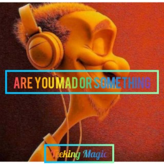Are you mad or something (Radio Edit) lyrics | Boomplay Music
