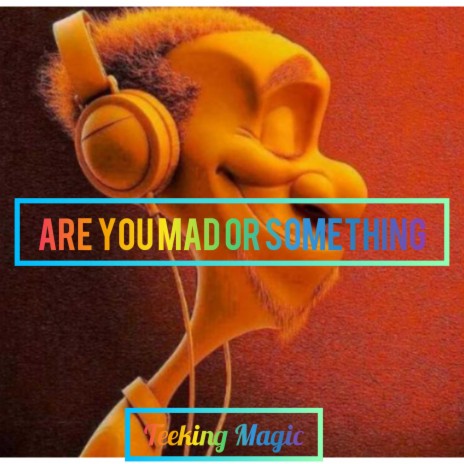 Are you mad or something (Radio Edit) | Boomplay Music