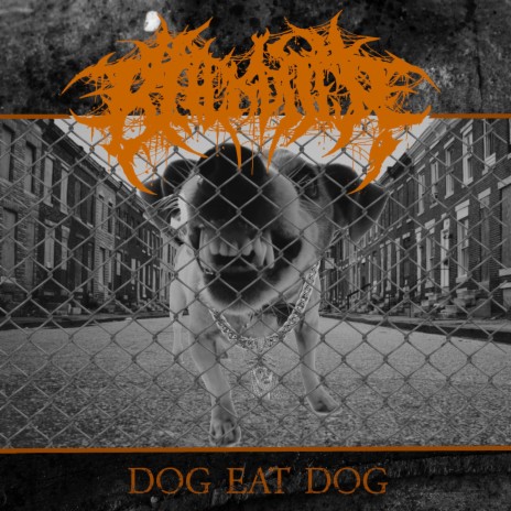 Dog Eat Dog | Boomplay Music