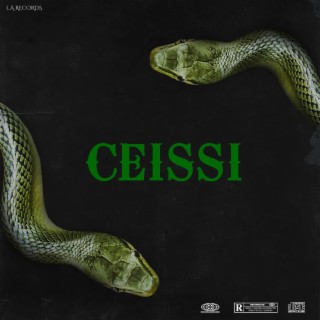Ceissi (feat. Rough) lyrics | Boomplay Music