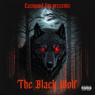 The Black Wolf